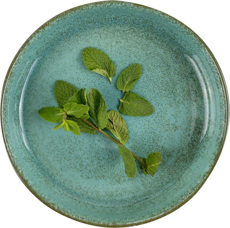 Porzellanserie "Spices" Mint Schale Ø19cm (3)