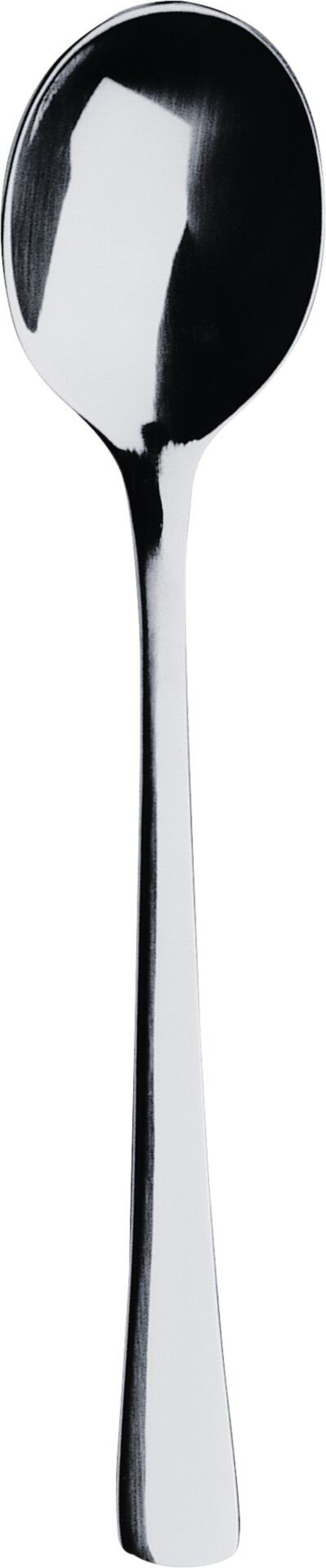 Besteckserie "KARINA" Kaffeelöffel (1)