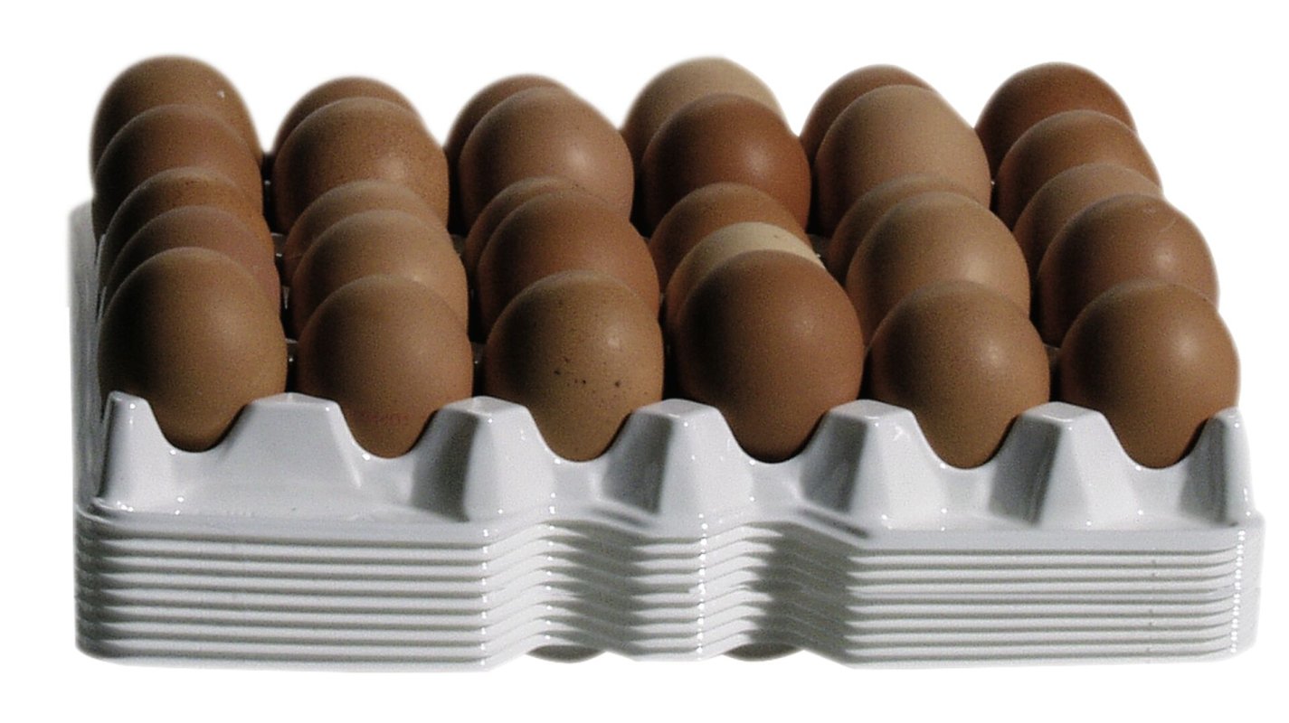 Ersatztablett für Eierbox (1)