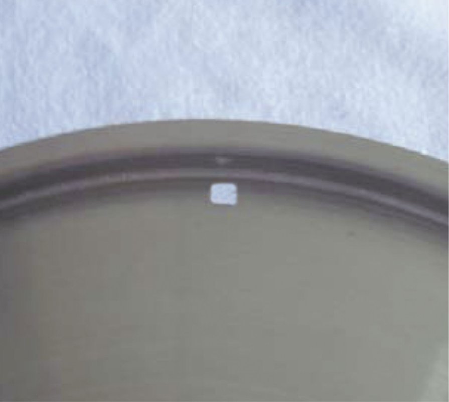 Deckel "Cookmax Professional/Gourmet" 16cm (2)