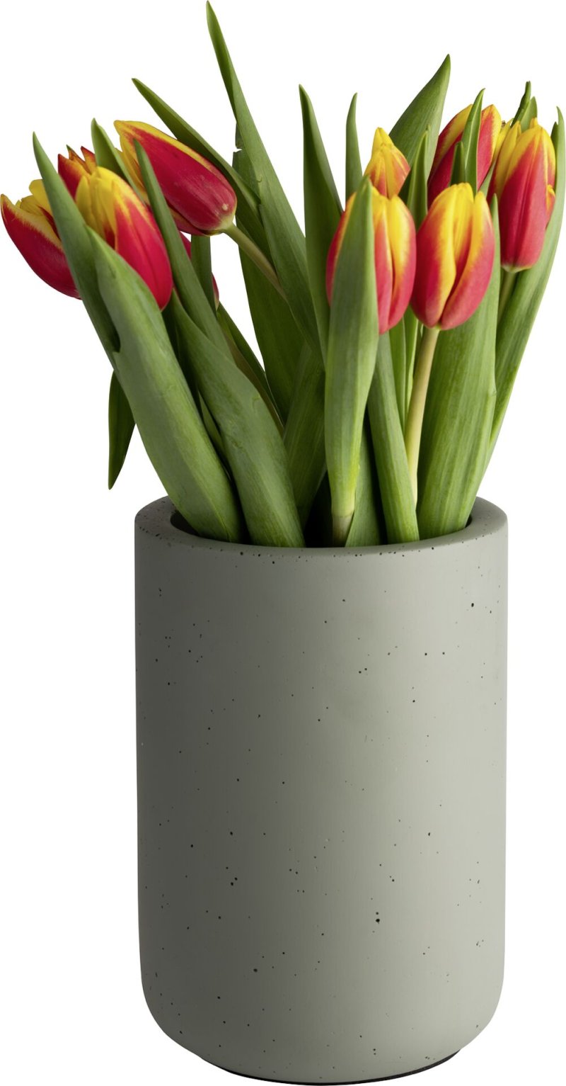 Flaschenkühler "Element" Beton olivgrün (4)